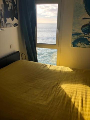 Appartement Cosy Les Pieds Dans L'Eau, Vue Mer Exceptionnelle Crozon Ngoại thất bức ảnh